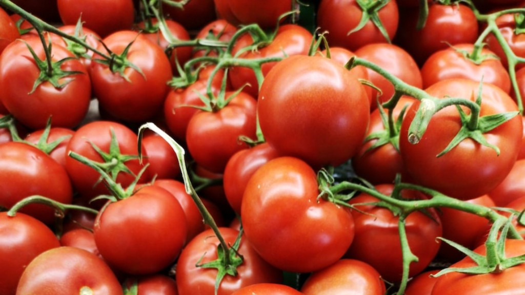 トマトを缶詰にするためにどのくらいの時間茹でますか