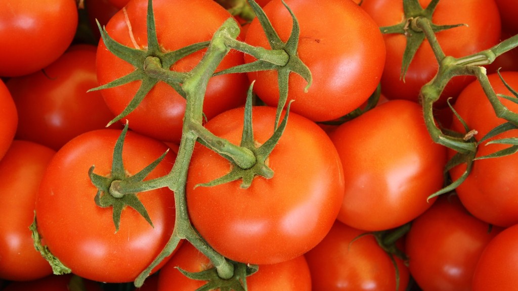 新鮮なトマトを冷凍庫でどれくらい保存できますか